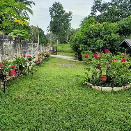 Balai Mariacaria Pension House Guindulman Extérieur photo