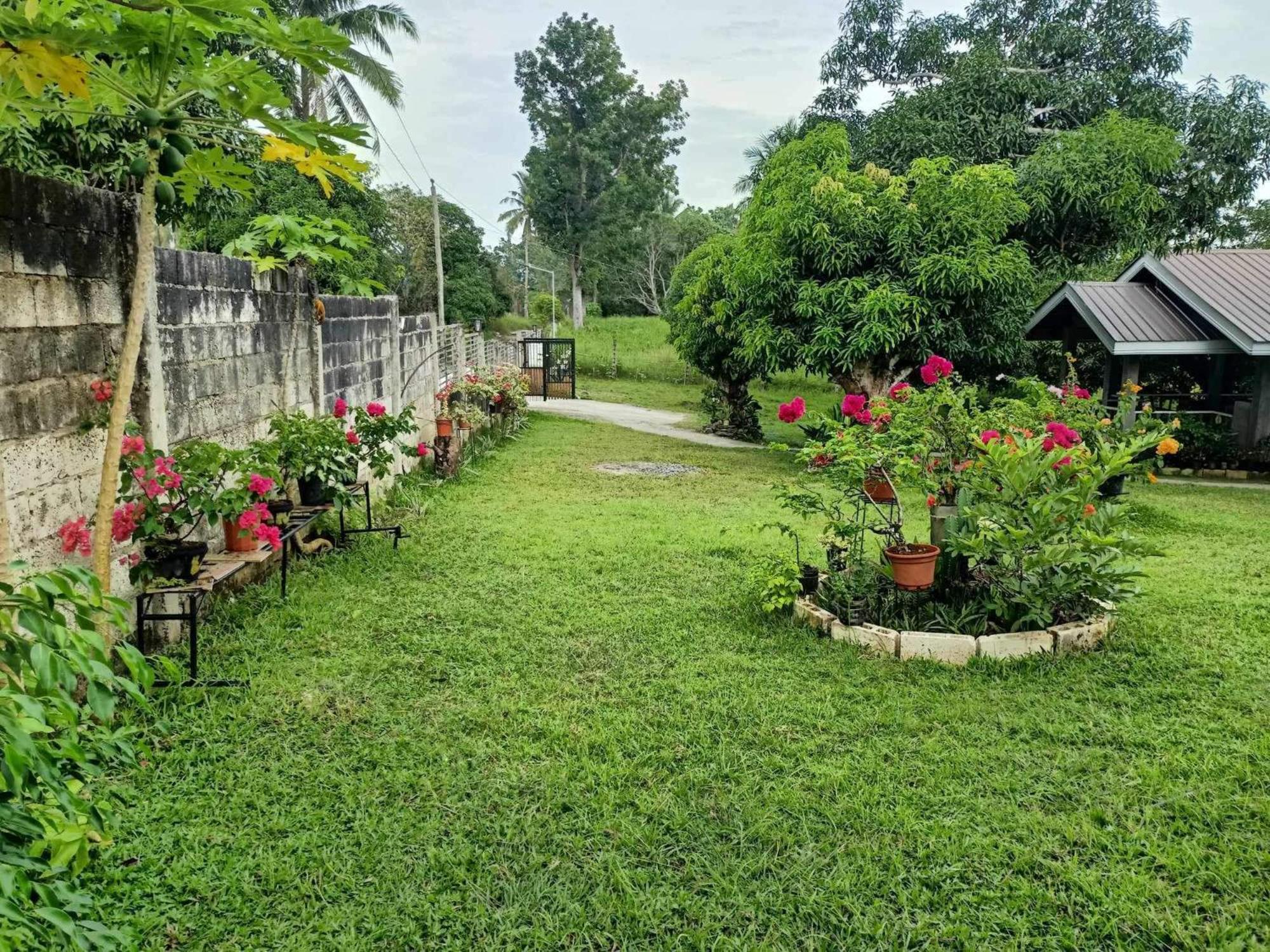 Balai Mariacaria Pension House Guindulman Extérieur photo